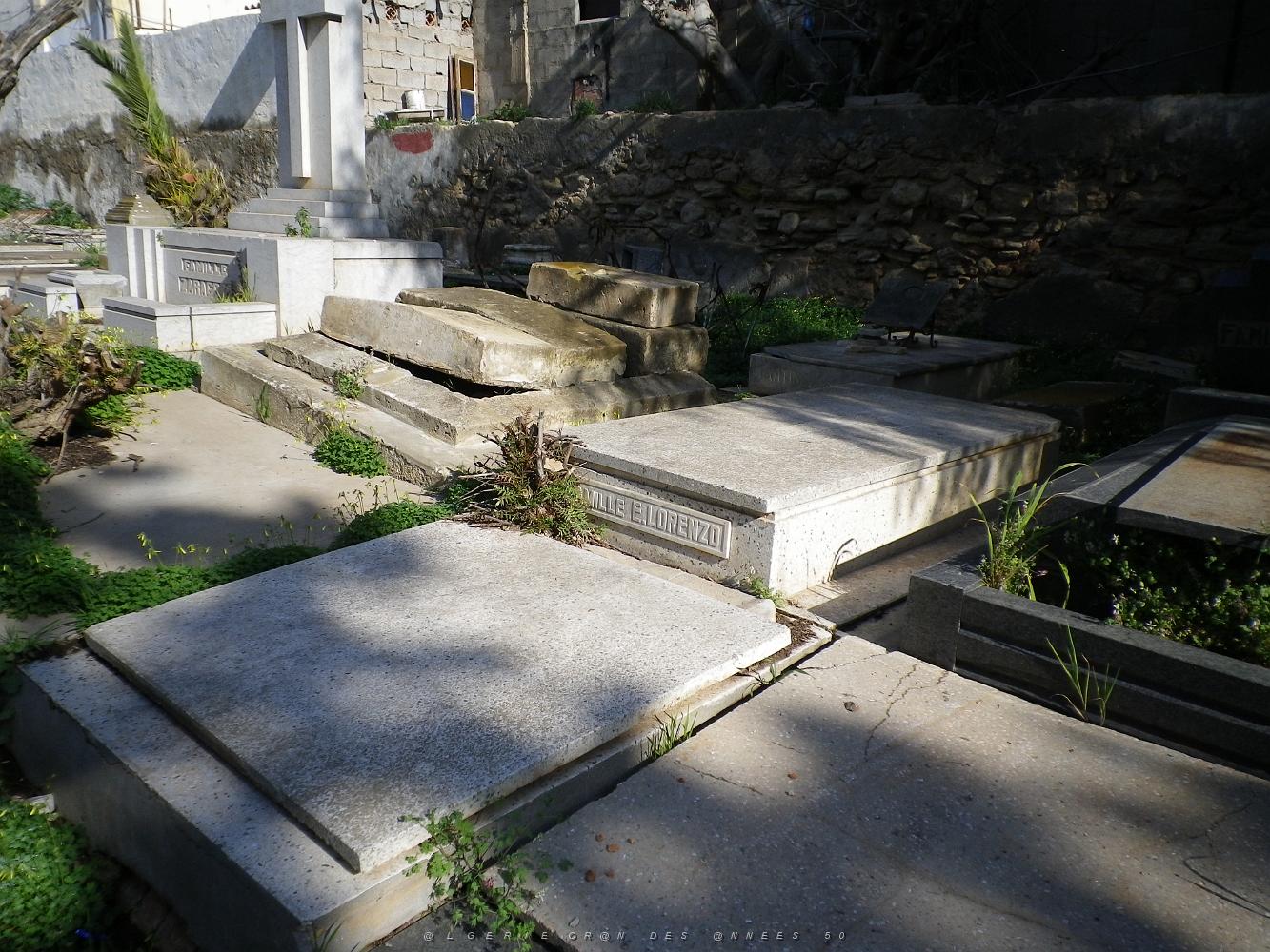 CIMETIERE DE TAMAZOUHET D ORAN EN MARS 2012  (66).JPG